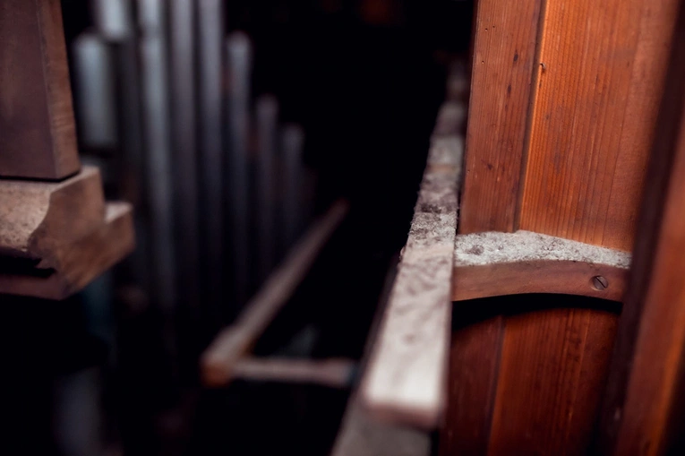 Tajemnice organów trzebnickiej bazyliki