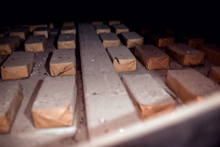 Tajemnice organów trzebnickiej bazyliki