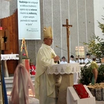 Wspomnienie św. Jana Bosko  