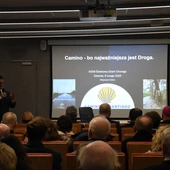 33. Światowy Dzień Chorego - konferencja