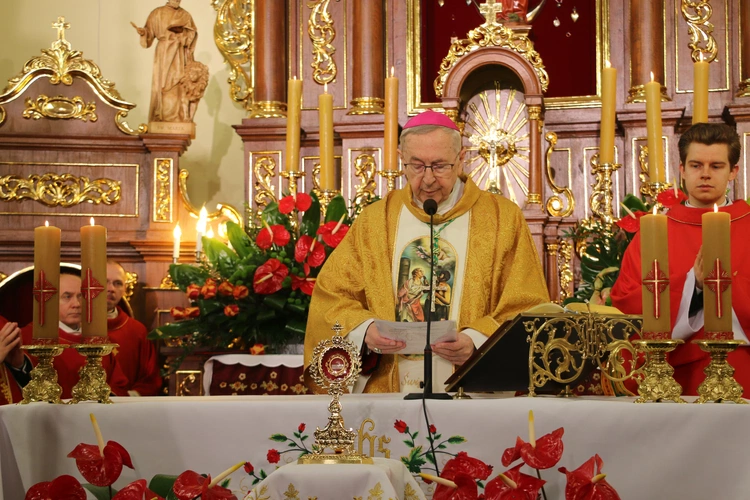 Borkowo Kościelne. Ustanowienie sanktuarium św. Apolonii - cz. II