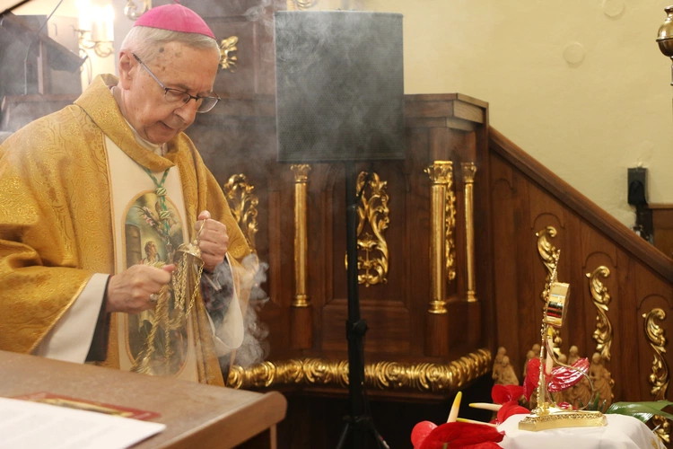 Borkowo Kościelne. Ustanowienie sanktuarium św. Apolonii - cz. II