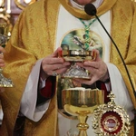 Borkowo Kościelne. Ustanowienie sanktuarium św. Apolonii - cz. II