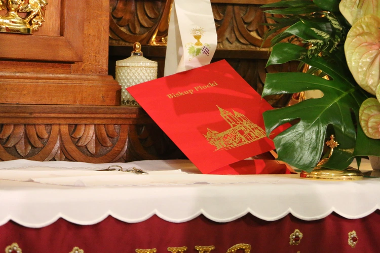 Borkowo Kościelne. Ustanowienie sanktuarium św. Apolonii - cz. II