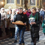 Diecezjalny Dzień Chorego