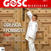 Sztuka w zranionym świecie