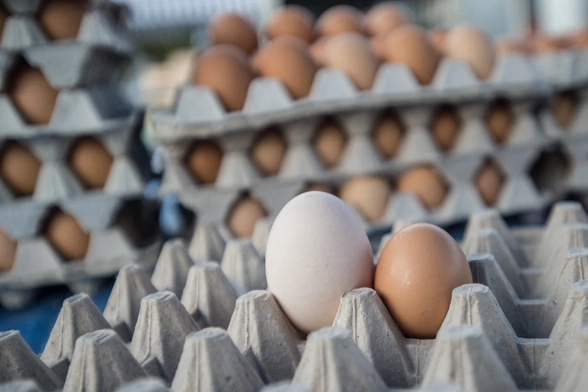 Producenci drobiu: Zaczyna brakować jaj