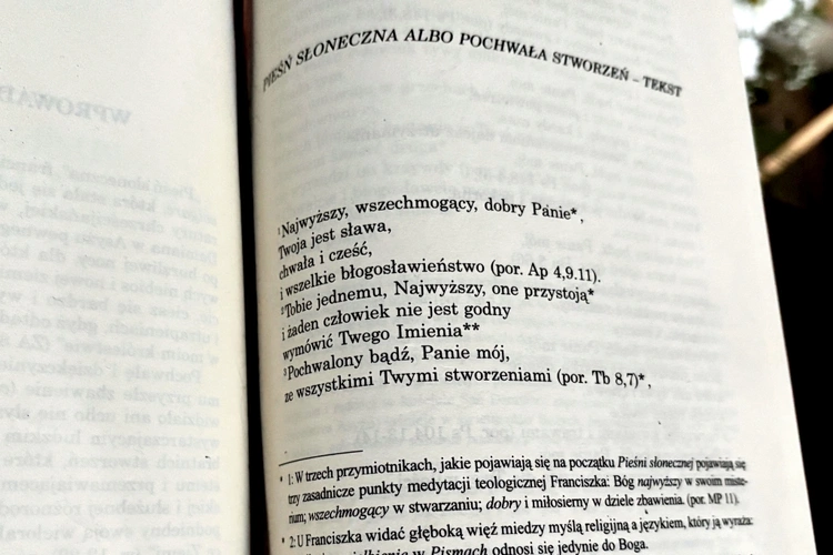 Franciszkańskie darowanie kary