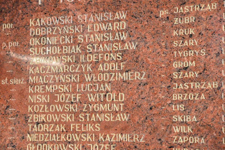 Zielona Ciechanowska. Upamiętnienie żołnierzy wyklętych