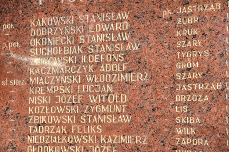 Zielona Ciechanowska. Upamiętnienie żołnierzy wyklętych