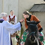 Panie na koniach 