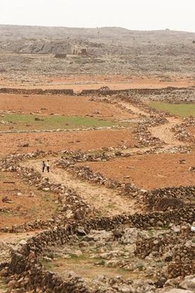 Wiedziony przez Ducha