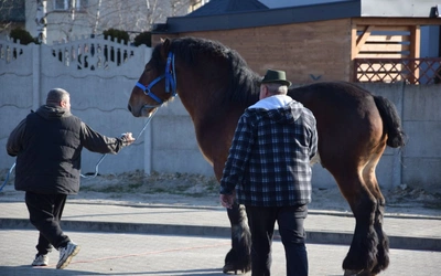 Targi końskie w Skaryszewie 