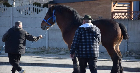 Targi końskie w Skaryszewie 