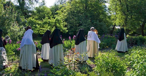 	Teren przy ul. Wolskiej stanowi ostatni zachowany ślad po pierwotnym zagospodarowaniu dzielnicy.