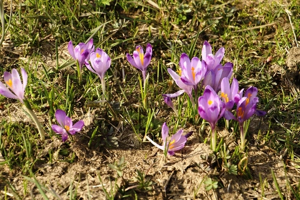 Wołaj! Co mam wołać?