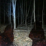 II Leśna Droga Krzyżowa w Głubczycach