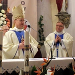 Ustanowienie diecezjalnego sanktuarium w Zbrosławicach