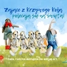 Zające z Krzywego Koła - jak powstają i gdzie zamieszkały