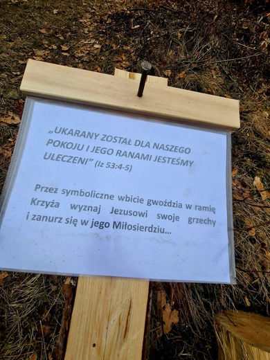 Muszyna. III Parafialna Droga Krzyżowa w plenerze