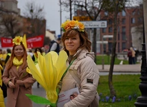 Żonkilowa Parada w Gdańsku