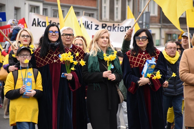 Żonkilowa Parada w Gdańsku