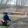 Poruszanie się quadami czy traktorkami niszczy polne drogi.