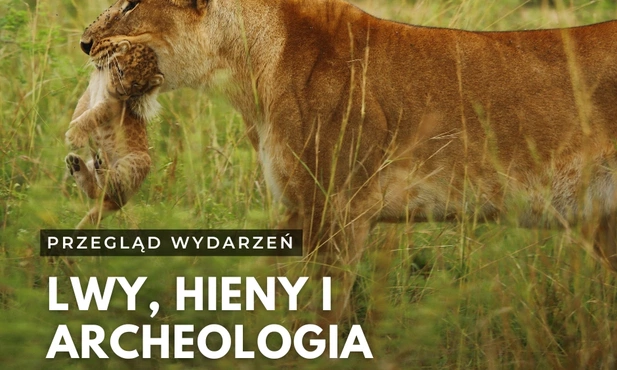 Lwy, hieny i archeologia, czyli przegląd bieżących wydarzeń