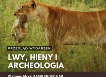 Lwy, hieny i archeologia, czyli przegląd bieżących wydarzeń