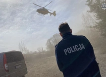Śląskie. 14-latek przygnieciony konarem drzewa. Jest w bardzo ciężkim stanie