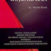 Ks. Michał Perek Gojenie ran Płocki Instytut Wydawniczy Płock 2024 ss. 164