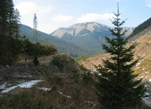 Tatry