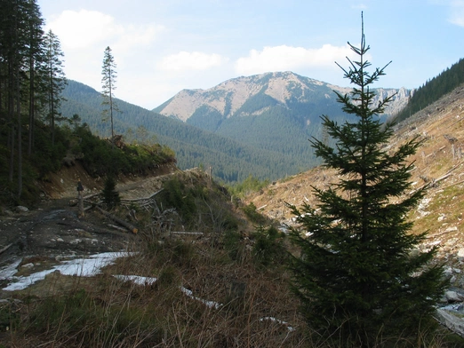 Tatry