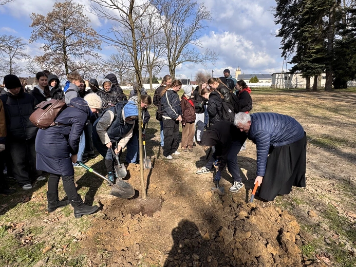 Akcja sadzenia drzew w Kokoszycach
