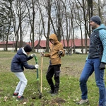 Akcja sadzenia drzew w Kokoszycach
