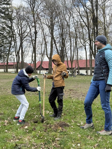 Akcja sadzenia drzew w Kokoszycach