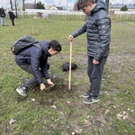 Akcja sadzenia drzew w Kokoszycach