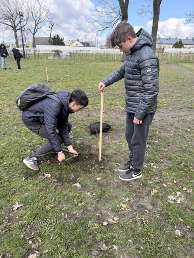 Akcja sadzenia drzew w Kokoszycach