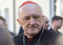 Kard. Kazimierz Nycz wysłannikiem papieża na jubileusz 100-lecia archidiecezji katowickiej