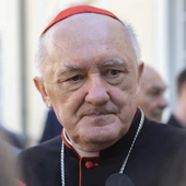 Kard. Kazimierz Nycz wysłannikiem papieża na jubileusz 100-lecia archidiecezji katowickiej