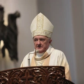 Kard. Nycz Wysłannikiem Papieża na stulecie archidiecezji katowickiej