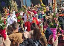 Hosanna Jezusowi!