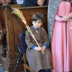 Niedziela Palmowa w Sandomierza