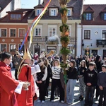 Niedziela Palmowa w Sandomierza