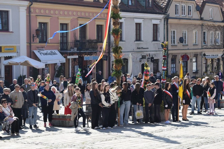 Niedziela Palmowa w Sandomierza