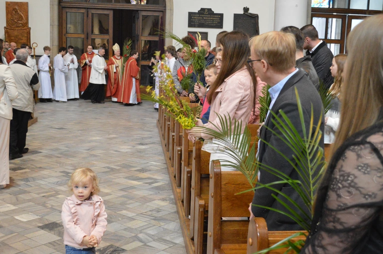 Niedziela Palmowa w archikatedrze