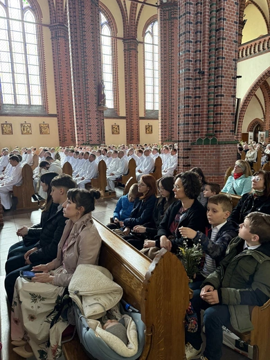 Ustanowienie nadzwyczajnych szafarzy