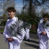 Niedziela Palmowa LSO w Bielsku-Białej 2025 - procesja do kościoła NSPJ