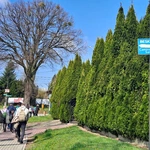 Jubileuszowa pielgrzymka Szlakiem św. Jakuba ze Skoczowa do Cieszyna 2025 - cz. 1 (Skoczów - Dębowiec)