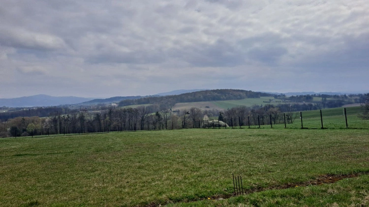 Jubileuszowa pielgrzymka Szlakiem św. Jakuba ze Skoczowa do Cieszyna 2025 - cz. 2 (Dębowiec - Cieszyn)